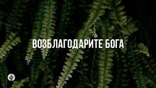 ВОЗБЛАГОДАРИТЕ БОГА | Ежедневное христианское чтение | 6   июня 2024