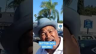 BITTER DOG BRUNO 2nd place #youtube #subscribe #follow #youtubeshorts #picoftheday #dahoodpostman
