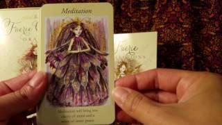 The Faerie Guidance Oracle by Paulina Cassidy - Unboxing and Walk-Through