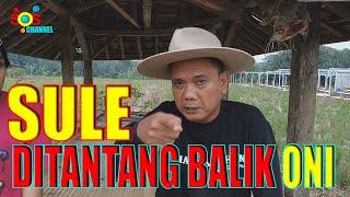 SULE DITANTANG BALIK ONI