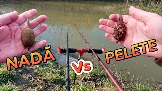 Pescuit la feeder in Balta din Grădina cu Nadă vs Pelete - Ciortani , Carași , Plătică 