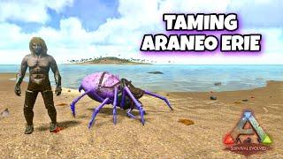 TAMING ARANEO WARNA WARNI ARK MOBILE INDONESIA