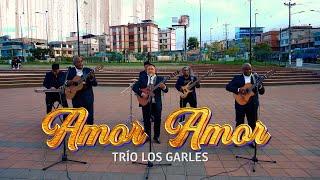 Amor amor/ Los Garles Nuevos Embajadores