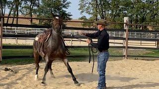 Is my Mustang Ready for the First Ride!? Ft. Mustang Champion Nate Eicher