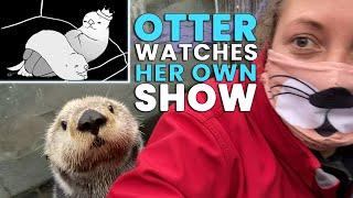 Sea Otters React to a Fan YouTube Channel!