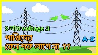 পা‌খিদের কেন শক লা‌গে না ? Why Birds Don't get Electric shock ?