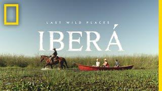 Last Wild Places: Iberá | National Geographic