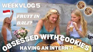 BUYING FRUIT IN BALI, HAVING AN INTERN & OBSESSED WITH COOKIES - Weekvlog #5 - Janine Freuling