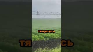 Хочешь большую и сочную морковку? Делай так #секреты #сад #огород #морковь #дача