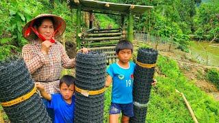 A single mother and her two sons used plastic nets to build a goat farm.DANG THI DU