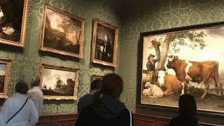 Mauritshuis Museum  - The Hague