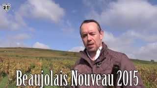 TLTV #70 Deutsch: WELT ERSTE Beaujolais Nouveau Villages 2015 Wine Tasting PRIMEUR