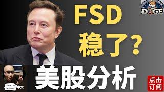 特斯拉连夜冲高 FSD利好带飞？英伟达财报周三兑现！ | Jay金融财经分析