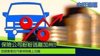 中旺速遞 ｜保險公司紛紛逃離加州 想買實惠的汽車保險難上加難 2024 0117