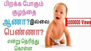 Male or female/karuvil iruppathu aana penna/கருவில் இருப்பது ஆணா? பெண்ணா ?