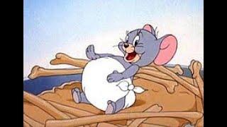 Tom and Jerry Cartoon | Little Jerry Fun | #tomandjerry #shorts #ytshorts  @noon cartoon