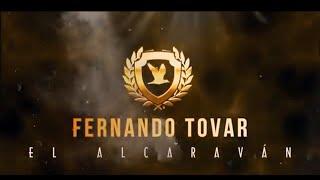 @FernandoTovar - Mosaico Fernandero