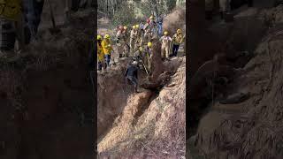 LAFD: Horse Rescue in Sylmar