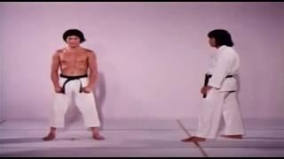 The Art Of High Impact Kicking { hwang jang lee }