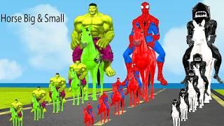 Siêu nhân nhện️Spider-man challenge Horse Racing Big & Small vs Hulk Horse vs Shark Spider Horse