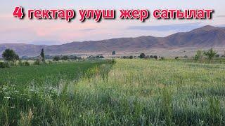 4 гектар улуш жер сатылат Тамеки Совхоз