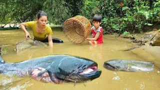 Going fishing in flood season, unexpectedly met a giant fish.