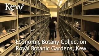 Kew Video Podcast 1