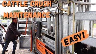 Easy Cattle Crush Maintenance Anyone Can Do