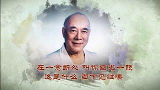 很多人搞错了 佛不是迷信  而是真理  般若智慧  明心见性入佛知见---元音老人精选短视频系列（66）