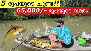 പെരുമഴയത്തു ആറ്റിൽ ഇറങ്ങിയതാ കിട്ടിയത് കണ്ടോ!! | Kerala River Fishing and cooking