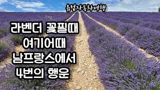 남프랑스 프로방스 Provence 여행 발랑솔 Valensole 라벤더 Lavender 필드 라벤더 여행시기 발랑솔 가는 법 프랑스여행 유럽자동차여행 앤젤방 무지개 여행vlog