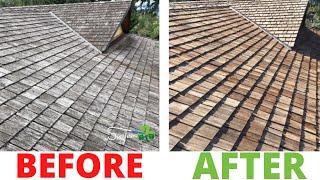 Properly Treat (and Restore) a Cedar Shake Roof 🪵 Wood Roof Cleaning and Maintenance