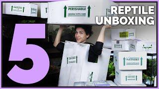 Unboxing 12 Unique Pet Reptiles! Big, Neglected Animals and Aquatics