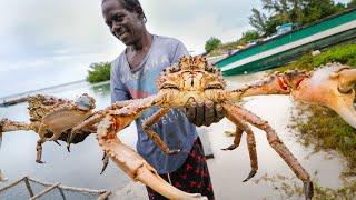 Huge Caribbean KING CRAB  RUNDOWN!! Jamaican Seafood Tour - Jamaica! 