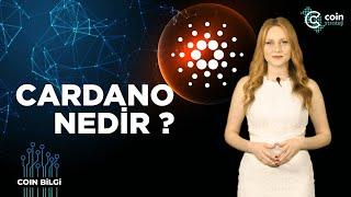 Cardano Nedir? | Coin Bilgi