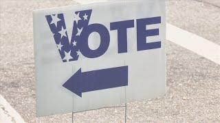 Record-setting early voter turnout in Walton County Primary