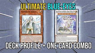 NEW ULTIMATE BLUE-EYES DECK PROFILE (NEW STRUCTURE DECK!) December 2024