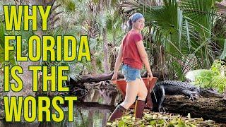 6 Reasons Why Gardening in Florida is The Worst and How To Make It Better