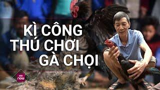 Lão nông ở Phú Thọ tiết lộ tuyệt chiêu luyện gà chọi siêu khỏe, tâm sự về thú chơi kì công | VTC Now