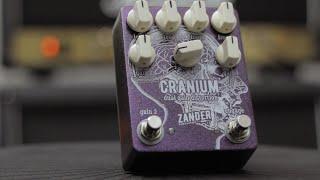 King of the Rats - Cranium Distortion by Zander Circuitry