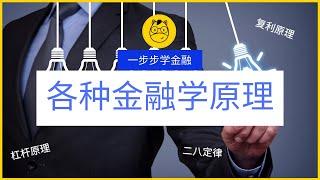 【一步步学金融】第二课 || 各种金融学原理 Financial Theories Part 1