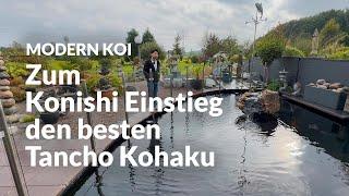 Mit Makoto bei Michael in Hamburg am Teich | Modern Koi Blog #6921