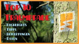 Top 10: Traumpfade in der Eifel | Welche Touren lohnen sich? [2,7K]