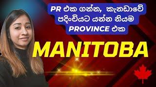 Manitoba - PR එක ගන්න කැනඩාවේ හොඳම Provinces | Canada Immigration Sinhala