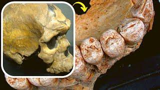 Archaeologists Have Discovered The Oldest Human Fossil Ever Found Outside Africa