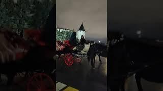 Казань 2.01.25. Не три белых коня) #shorts #kazan