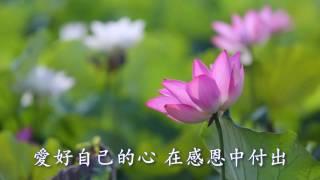 慈濟歌曲 感恩尊重愛  (2016觀音蓮花篇Lotus flower)