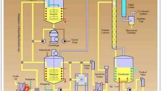 Refining of Palm Oil: Part 2