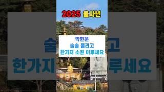 2025 을사년 막힌운 풀리고 소원성취 기도 기장 은진사 당일치기 사찰여행 부산 가볼만한곳 반야심경 천수경 금강경 목탁소리 화엄경 관세음보살 나무아미타불 불교 불경 지장보살 부처님