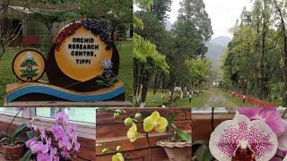 Orchid Research Centre | Tippi | Arunachal Pradesh orchids | Nameri, Collab with @NeerajMusafir